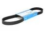 DAYCO ремінь П-клиновий 6PK802 FORD Fiesta VI, Focus II, III, SUZUKI SX4, VOLVO C30, S40, V50