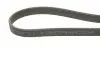 Ремінь генератора VW Golf/Passat 2.8 91-99 (7PK1360) BOSCH 1987946204 (фото 4)