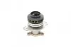 Помпа води Renault Trafic 2.0CDTi/ Master 2.3CDTi 06- KAVO PARTS NW-1283 (фото 4)