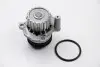 VW помпа води Audi A3Seat,Skoda OctaviaBora,Caddy II,Golf IV,NEW BEETLE,Polo ASAM 70480 (фото 1)