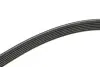 Ремінь генератора VW T5 3.2 V6 03-09/Sharan/Ford Galaxy 2.8 V6 00-10 (6PK1325) BOSCH 1987946206 (фото 3)