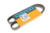 Ремінь генератора Mazda 323/626 1.6-2.2i 82-97 DAYCO 5PK1010HD (фото 1)