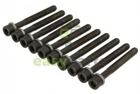 VW К-кт болтів головки блоку Golf, Caddy, Derby, Passat,AUDI 80 73-92 ELRING 819.808