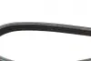 Ремінь генератора Renault Twingo 1.2 93-96 (4PK1165) BOSCH 1987946008 (фото 4)