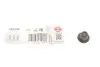 Сальник клапана (впуск/випуск) Hyundai Accent/i20/Elantra/Kia Cee&#039;d 1.1D-1.7D 05- (5x8.6/21.5x15.7) ELRING 333.120 (фото 1)