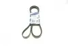 Ремінь генератора MB E-class (W211) 5.5 02-08 (M113)/Land Rover Range Rover 5.0SCV8 13- (6PK2445) BOSCH 1987947998 (фото 1)