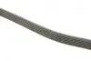 Ремінь генератора MB E-class (W211) 5.5 02-08 (M113)/Land Rover Range Rover 5.0SCV8 13- (6PK2445) BOSCH 1987947998 (фото 3)