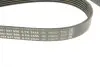 Ремінь генератора MB E-class (W211) 5.5 02-08 (M113)/Land Rover Range Rover 5.0SCV8 13- (6PK2445) BOSCH 1987947998 (фото 4)