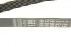 Ремінь генератора MB E-class (W211) 5.5 02-08 (M113)/Land Rover Range Rover 5.0SCV8 13- (6PK2445) BOSCH 1987947998 (фото 5)