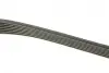 Ремінь генератора Renault Megane/Laguna/Scenic 2.0 dCi 07-/Peugeot 508 2.0HDI 18- (7PK1705) BOSCH 1987947044 (фото 3)