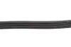 Ремінь генератора Ford Focus/Fiesta/Fusion/Mazda 2 1.25-1.6 98- (6PK1042) BOSCH 1987946125 (фото 3)