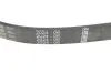 Ремінь генератора Ford Focus/Fiesta/Fusion/Mazda 2 1.25-1.6 98- (6PK1042) BOSCH 1987946125 (фото 4)