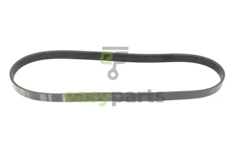 Ремінь генератора Ford Focus/Fiesta/Fusion/Mazda 2 1.25-1.6 98- (6PK1042) BOSCH 1987946125