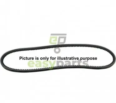 Ремінь генератора 13x1025 207/307 OM616 >90 JP GROUP 1118006500
