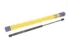 Фото 1 - амортизатор кришки багажника Mitsubishi Outlander 06-12 (GS0841) MAGNETI MARELLI 430719084100 Амортизатор кришки багажника Mitsubishi Outlander 06-12 (GS0841) MAGNETI MARELLI 430719084100 (фото 1)