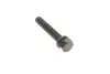 Комплект ГРМ + помпа VW Crafter 2.5TDI, 65-120kw, 06-13, (141x26) SKF VKMC 01244 (фото 11)