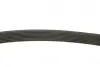 Ремінь генератора Land Rover Range Rover Sport 05-13/Discovery 2.7D 04- (8PK2093) BOSCH 1987946268 (фото 9)