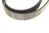 Ремінь генератора Land Rover Range Rover Sport 05-13/Discovery 2.7D 04- (8PK2093) BOSCH 1987946268 (фото 10)