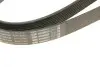 Ремінь генератора Land Rover Range Rover Sport 05-13/Discovery 2.7D 04- (8PK2093) BOSCH 1987946268 (фото 11)