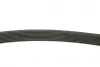 Ремінь генератора Land Rover Range Rover Sport 05-13/Discovery 2.7D 04- (8PK2093) BOSCH 1987946268 (фото 3)