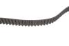 Комплект ГРМ Citroen Berlingo/Xsara/C3/C4/Peugeot 206/301/307/Partner 1.6i 16V 00- (25.4x134z) BOSCH 1987948202 (фото 9)
