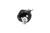 NISSAN амортизатор газ.передн.лів.Primera 02- (331015) KAVO PARTS SSA-6555 (фото 3)