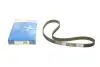 Ремень ГРМ Kia Sephia 1.5 96-97/Shuma 1.5i 16V 97-01/Mazda 323 1.6/1.8 16V/MX-3 1.6 85-98 (22x145z) BOSCH 1987949164 (фото 1)