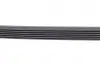 Ремінь генератора Citroen C3/C4/Peugeot 307 1.4-1.6HDi 02- (6PK1090) BOSCH 1987946128 (фото 4)