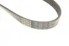 Ремінь генератора Citroen C3/C4/Peugeot 208/308 1.0/1.2 12- (6PK848) BOSCH 1987946155 (фото 5)
