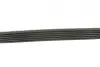 Ремінь генератора Citroen C3/C4/Peugeot 208/308 1.0/1.2 12- (6PK848) BOSCH 1987946155 (фото 3)