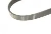 Ремінь генератора Citroen C3/C4/Peugeot 208/308 1.0/1.2 12- (6PK848) BOSCH 1987946155 (фото 4)