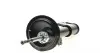 Амортизатор (передній) Citroen C4 04-/Peugeot 307 00- (L) KAVO PARTS SSA-10053 (фото 9)