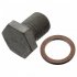 Пробка масляного пiддона M12x1,5mm з ущiльнюючим кiльцем L 20mm 100551