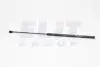 FORD амортизатор багажника TRANSIT CONNECT 02- MAGNETI MARELLI GS0294 (фото 1)