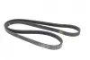 Ремінь генератора Renault Rapid 1.4i 91-98 / Toyota Echo/ Yaris Verso1.3-1.5 99-05 (4PK1185) BLUE PRINT AD04R1183 (фото 3)