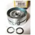 Ролик модуля натягувача ременя MAGNETI MARELLI MPQ1301 (фото 1)