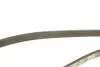Ремінь генератора Toyota Auris/Corolla 1.3 12-18 DAYCO 4PK1155S (фото 3)