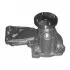 FORD помпа води Fiesta, Focus, Mondeo 1.4-1.6 MAGNETI MARELLI WPQ0277 (фото 1)