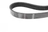 Ремінь генератора Ford Fiesta VI/Mondeo IV 08- (6PK1029) BOSCH 1987946143 (фото 3)