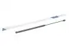 Амортизатор кришки багажника Ford Focus 03-07 STABILUS 012158 (фото 1)