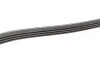 Ремінь генератора Honda Civic 1.3 Hybrid 06- (4PK1600) BOSCH 1987946234 (фото 11)
