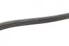 Ремінь генератора Honda Civic 1.3 Hybrid 06- (4PK1600) BOSCH 1987946234 (фото 5)