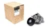 Натяжний механізм паска поліклинового Nissan/Renault 2.2dCi-2.5dCi 09.00- RENAULT / DACIA 8200761529 (фото 1)