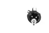 Амортизатор зад. Mazda 323 94-01 - Пр. (газ.) KAVO PARTS SSA-4512 (фото 3)