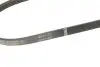 Ремінь генератора Renault Kangoo/Logan 1.4/1.6 04-/Lada Largus 1.6 12- (4PK916) BOSCH 1987946129 (фото 4)