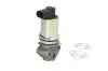 Клапан повернення О.Г. SKODA FABIA 1.2 -07 MAGNETI MARELLI 571822112011 (фото 1)