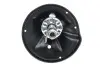 Амортизатор (задній) Hyundai Matrix (L) 01-10 KAVO PARTS SSA-3013 (фото 3)