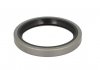 Уплотняющее кольцо, ступица колеса, Уплотнительное кольцо ELRING 484.300 (фото 1)