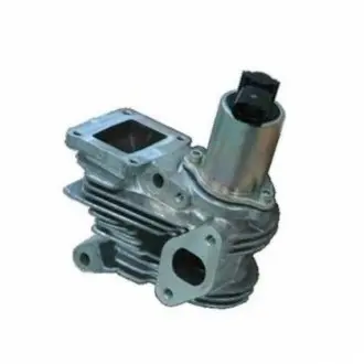 Клапан О.Г. RENAULT Megane II 1.9 dCi MAGNETI MARELLI EV044