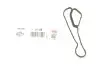 Прокладка радіатора масляного BMW 3 (E90)/5 (E60/F10) 2.3-3.5 -16 ELRING 596450 (фото 1)